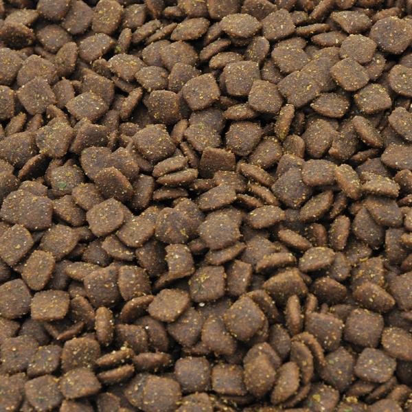 Vitamin Rich Chicken Breast Dry Cat Food