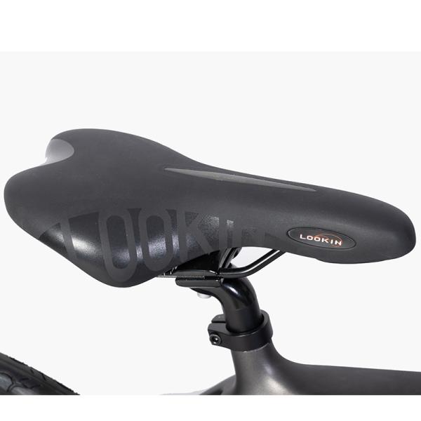 Max Speed 30-50Km/h Electric Road Bike Carbon Fibre Frame Hidden Battery for Your 's