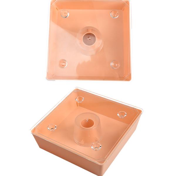 Food Grade Plstic Bee Feeder 255g Bee Hive Equipment