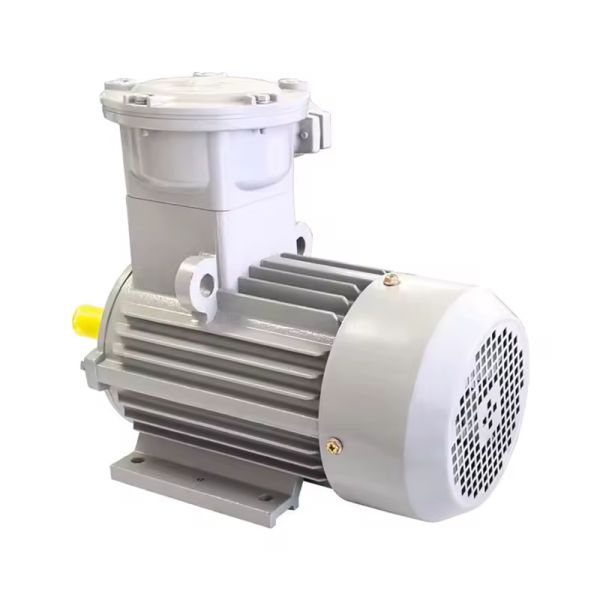 Custom-Made Explosion-Proof Three-Phase Asynchronous Motor with 50Hz Frequency and 22KW Power for Industrial Applications
