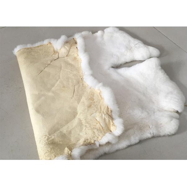 La suavidad caliente de la felpa del conejo del tiro mullido de la piel teñió los colores para el hogar/el hospital/el hotel