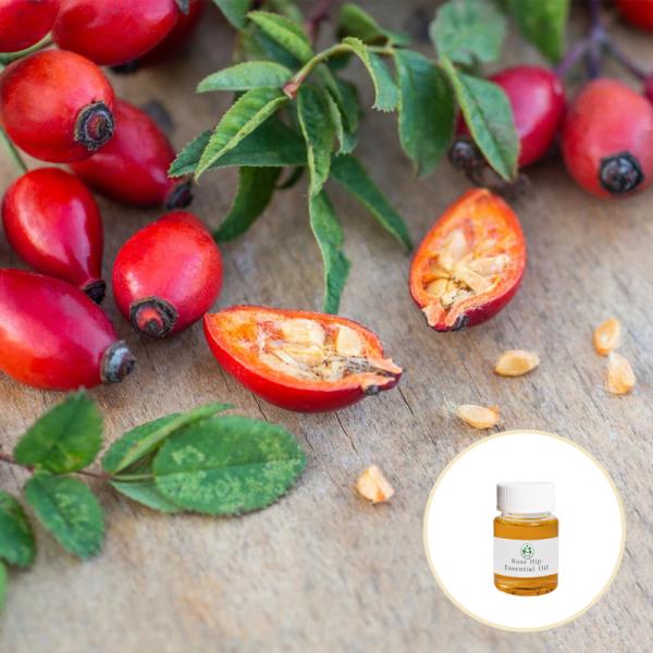 Organic Natural Cold Pressed Rose Hip Seed Oil Anti Wrinkles Moisturizing