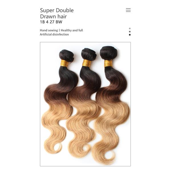 1b 4 27 BW Colored Human Hair Bundles