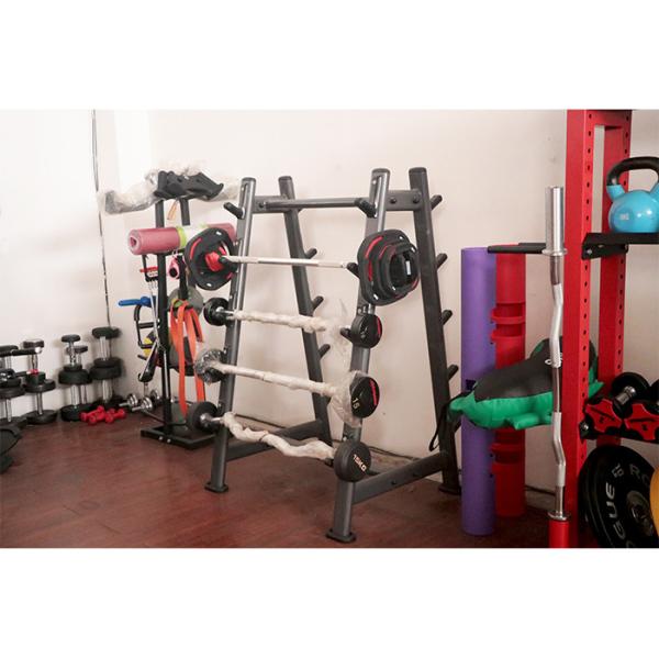 Home / Gym Use 10 Pairs Barbell Power Rack Cage With Standard USA Design