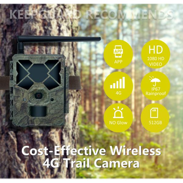 KW886 трейл камера встроена в 4G сим-карту 24MP 1080P при 30fps водонепроницаемая IP67 игровая камера с APP-контролем