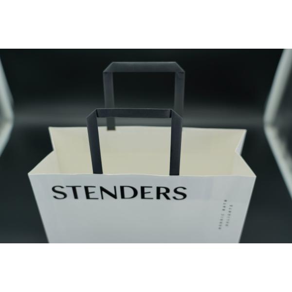 OEM Environmental Personalized Paper Bags Lightweight Eco-Friendly