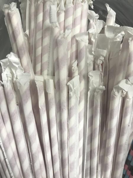 Everyday Season Biodegradable Paper Straws Single Wrapped with Custom Logo Printing