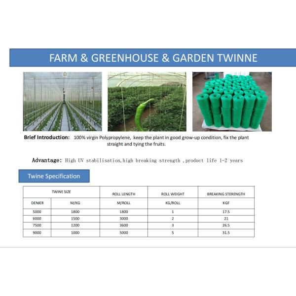 UV Resistant Polypropylene Tying Twine with High Tensile Strength (105KGF - 250KGF) and Customizable Length for Greenhouse and Agriculture