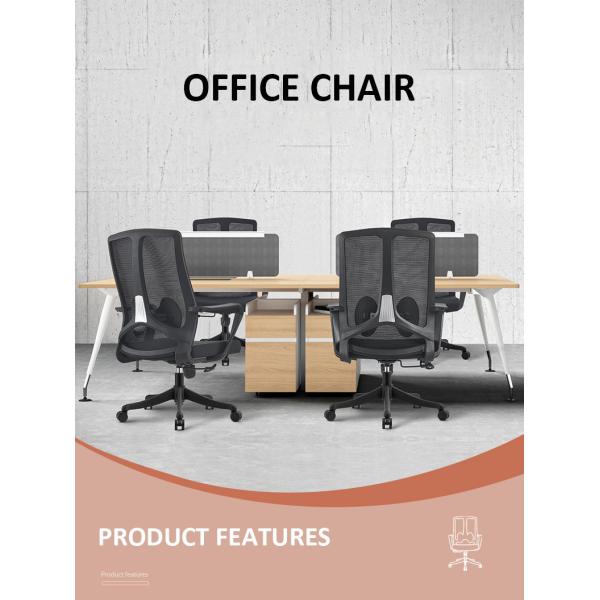 Fixed Armrest Executive Work Office Chair with Stainless Steel and Mesh Ergonomic Design