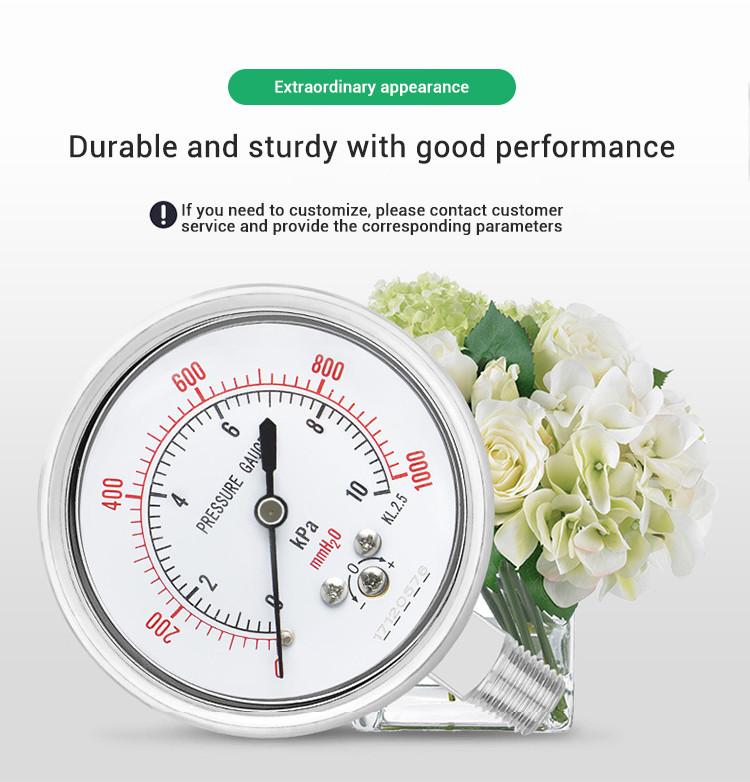 YE60BF M14*1.5 Isolation Diaphragm Capsule Pressure Gauge for Liquid Gas Measurement
