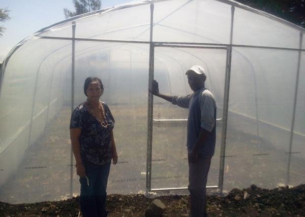 All Season Use Diy Small Greenhouse Walk In Greenhouse Kit For Garden