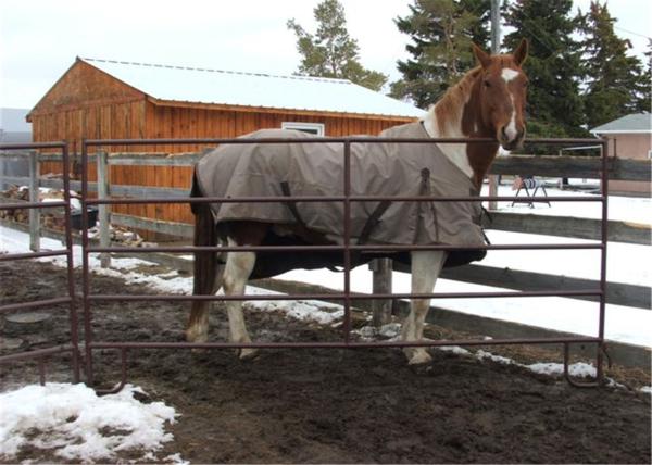 12ft General Purpose Farm Gate Cattle Horse Sheep Yard Panels