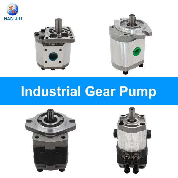 High Pressure Turolla Group 2 Gear Motor Snm 2 Key Shaft 0.51in 3,3600 Psi Gear Pump
