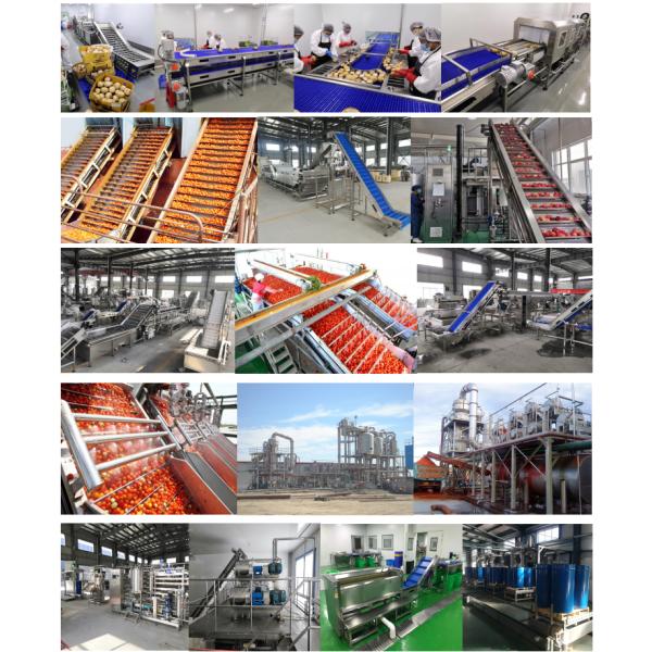 Small Hot Chili Pepper Paste Sauce Making Machine Processing Line Production Line