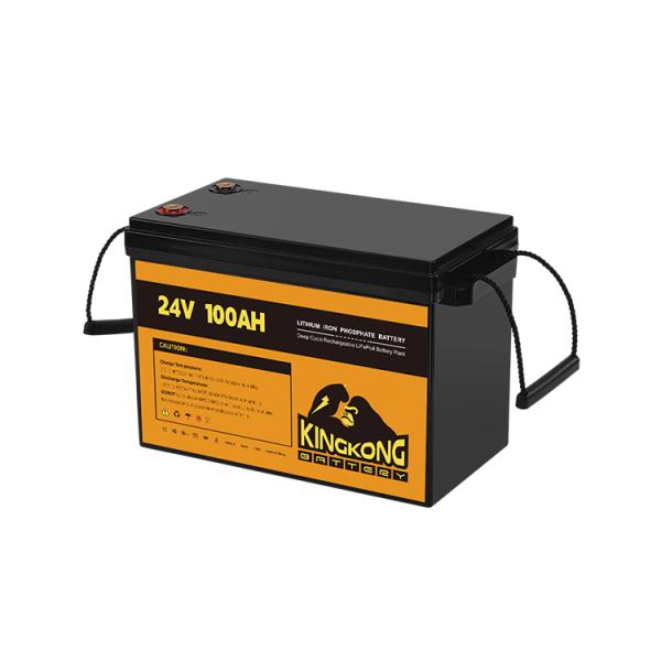 24В 50Ах 60Ах 100Ах 200Ах 230Ах 300Ах 400Ах 460Ах Железная литийная батарея LifePo4 с BMS