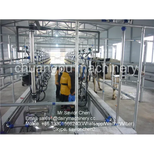 HL-G2 Herringbone Structure Milking Parlor for 300 Cows with CE ISO SGS FDA Certification