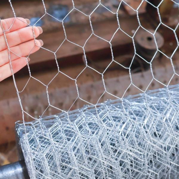 1X 20ga Hexagon Wire Mesh Chicken Wire Mesh Roll For Poultry Farm Mesh Net