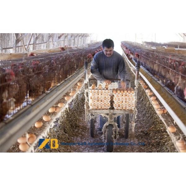 Safe Dried Fresh Sea Fish Powder Fertilizer Can Increase Animal Antibody