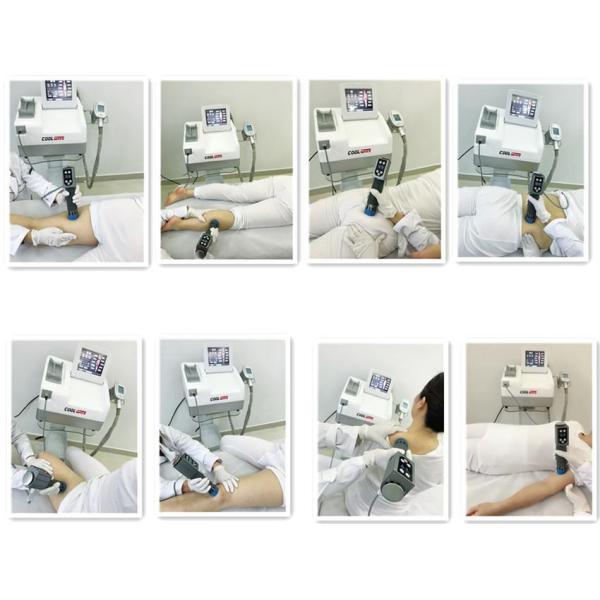 Мобильная машина Cryolipolysis жирная замерзая для размера потери веса компактного