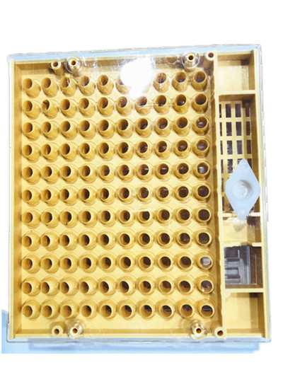 Plastic Queen Rearing Cupkit System 14.6cm*13cm*3cm for Bee Farm Queen Rearing