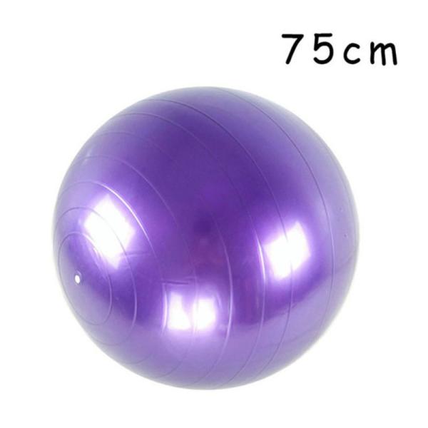 RoHS Approval Anti Burst Yoga Stability Ball , 75 Cm Fitness Ball For Whole Body Exercise