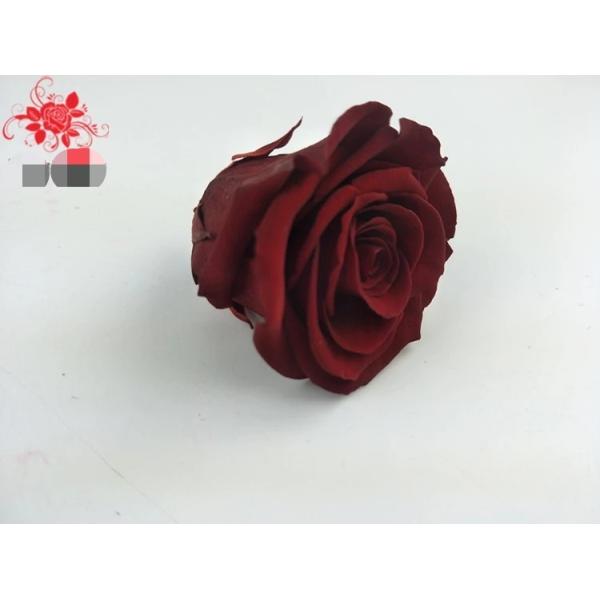 Japanese preserved red rose flowers for wedding flower stands Natural Fresh flower rose