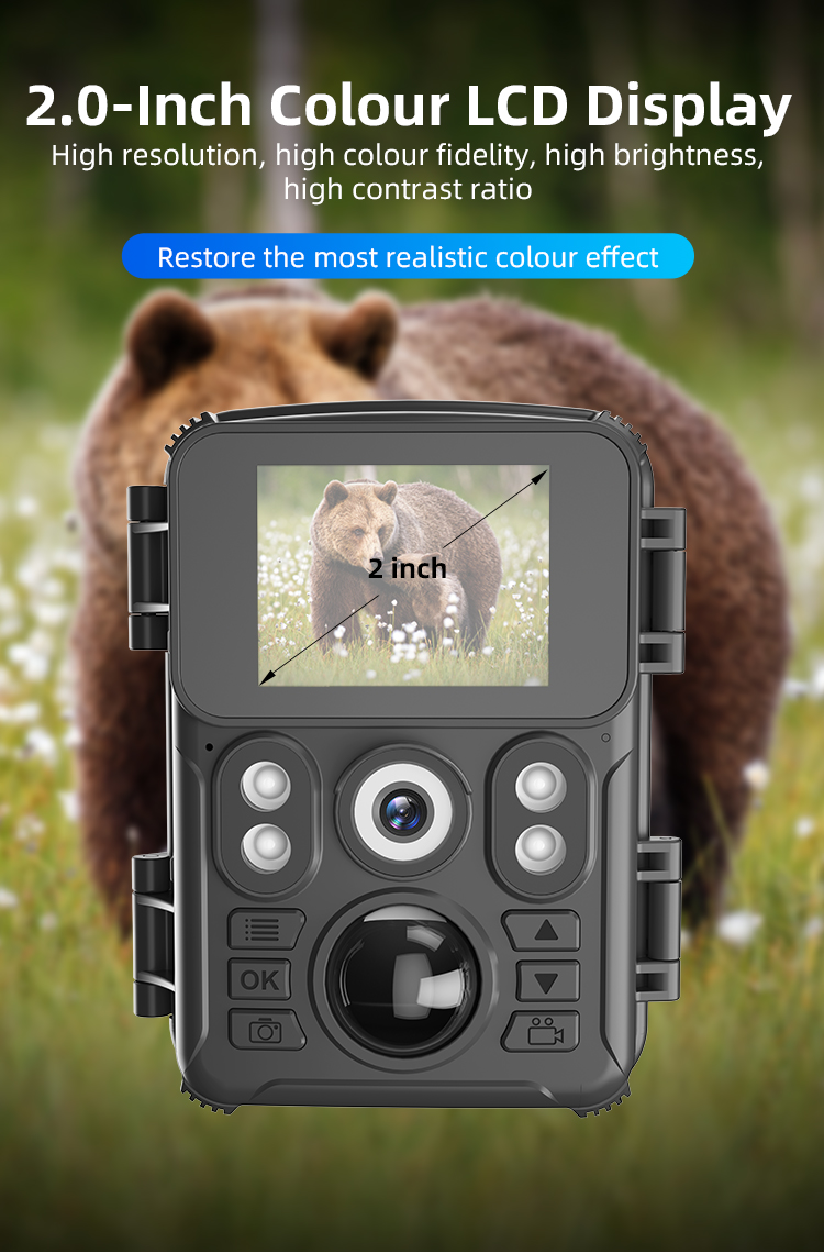 Factory Direct 720P HD Trail Hunting Camera Outdoor Wildlife Waterproof IR Night Vision Trail Camera Animal Trap Mini Camera