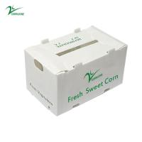 Caixa de armazenamento de plástico PP Caixa de plástico corrugado PP para vegetais, frutas e agricultura Caixa de embalagem