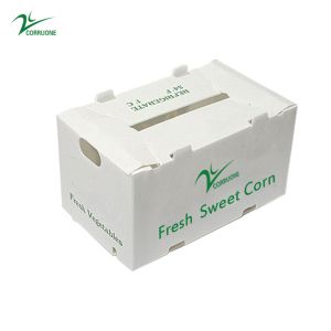 OEM Factory Produce PP Plastic Corrugated Box Для свежей сладкой кукурузы брокколи баклажаны Имбирный ящик