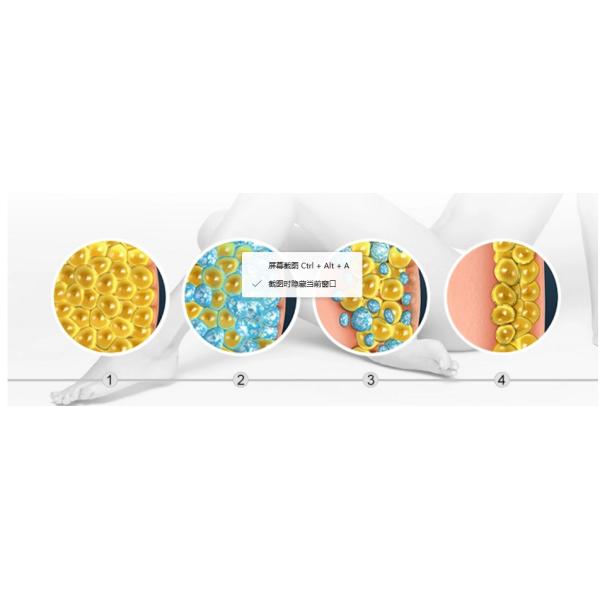 Cuerpo Cryolipolysis de la forma que adelgaza la máquina, equipo de la belleza de Lipo Cryo Cryolipolysis