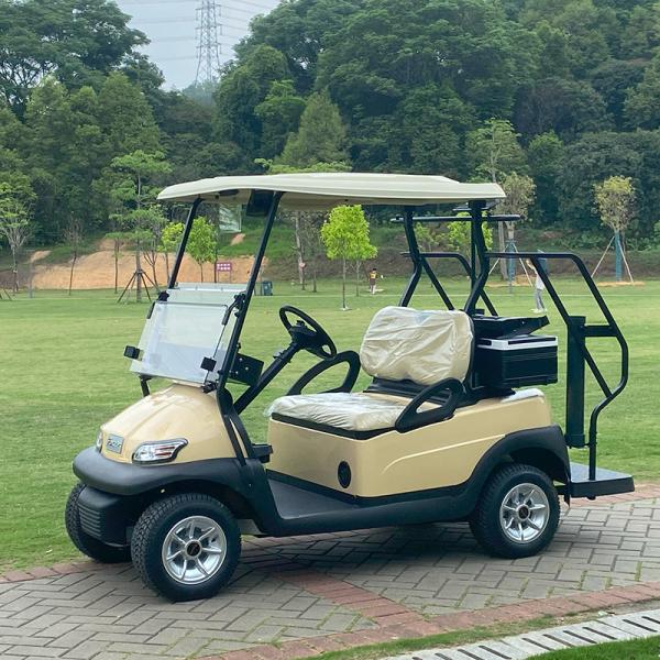 2 Passengers Aluminum Chassis Electric Golf Cart With 48V Lithium Battery Long Range High Climbing Ability