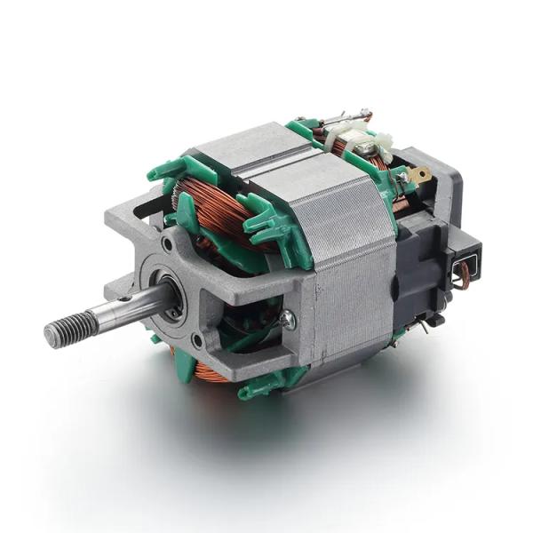 110V/220V 50/60Hz AC Motor Blender Professional 76mm Treadmill Motor with Ball Bearing