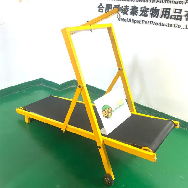 Shipping Port Shanghai or Nanjing Colorful Iron Dog Treadmill for Large Medium Dog