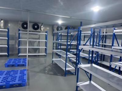 Temperature / Humidity Alarm Cooler Room Customized With Sliding Door