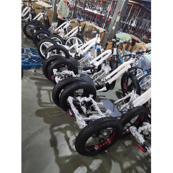 750W Central Motor Fat Tire Electric Rickshaw with Aluminum Carrier and Passenger Seat