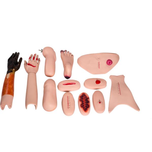 Trauma Suturing Bandaging Training PVC Nursing Manikin