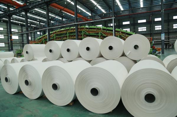 100G - 600G Material Tear Proof Waterproof Stone Paper Roll Stone Paper for Hotel Supplies Packing