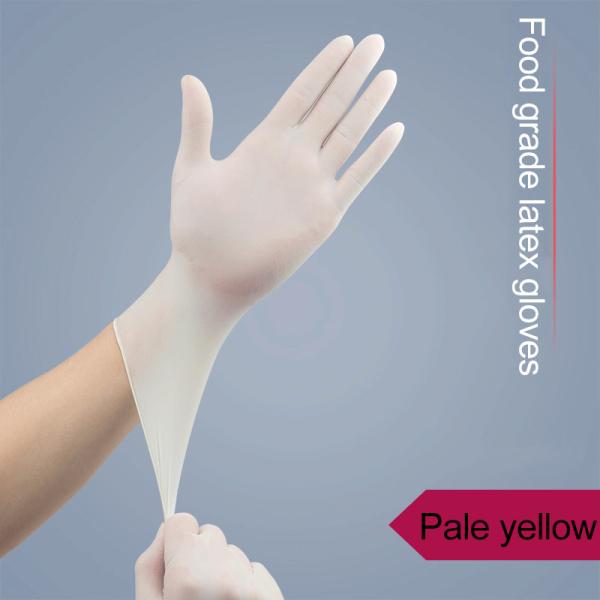 Powder Free 100pcs/Box XXL Latex Disposable Gloves