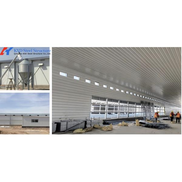 KXD Broiler Poultry Equipment Automatic Poultry Farm Plastic Slatted Flooring