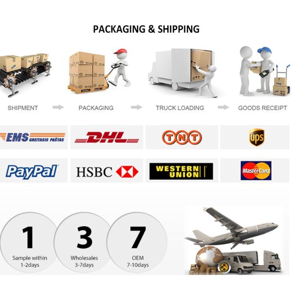 IP 65 Noir prise KIWI extérieure de type 1 chargeur de voiture pour véhicule électrique CE