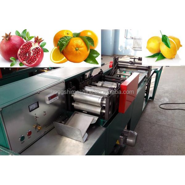 High Speed Fruit Vegetable Processing Machine Grape Growing Cover Paper Bag Maker