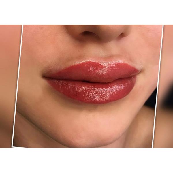 Коробка макияжа красочной гидры постоянная с сливк ремонта ухода для губ