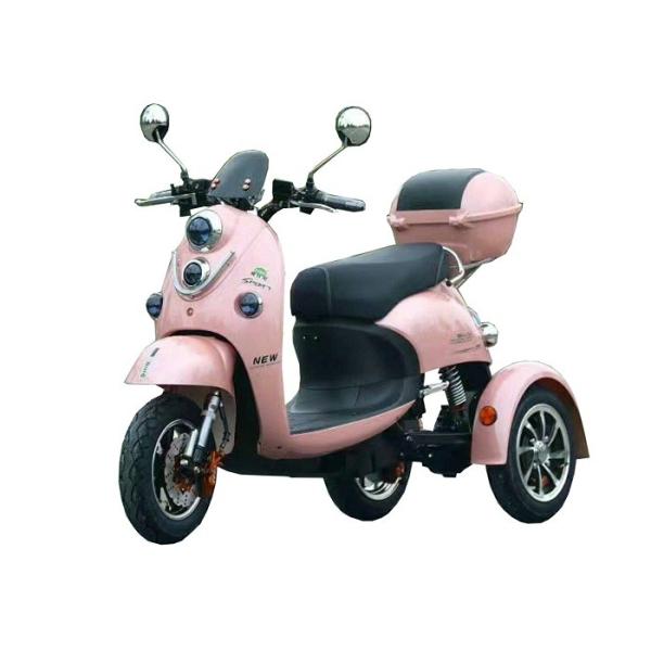 Alloy Wheel Electric Three Wheel Motorcycle Cargo Tricycle Motor Long Rang Folding