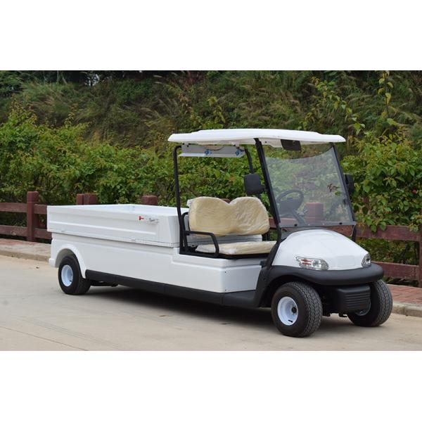 Outdoor Two Seater Electric Golf Carts With Utility Cargo Curtis 350A Controller
