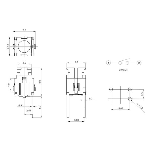 Momentary Illuminated Tact Switch Phosphor Copper For Consumer Products