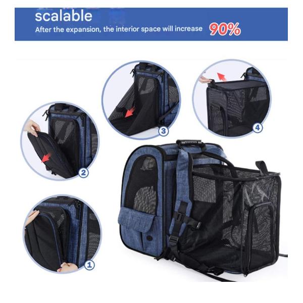 Exterior 33.5*27*42CM Azul Cationic Oxford Extensible Mujer de viaje Mochila de viaje Tejido suave Hermosas necesidades de mascotas para sus compañeros satisfechos