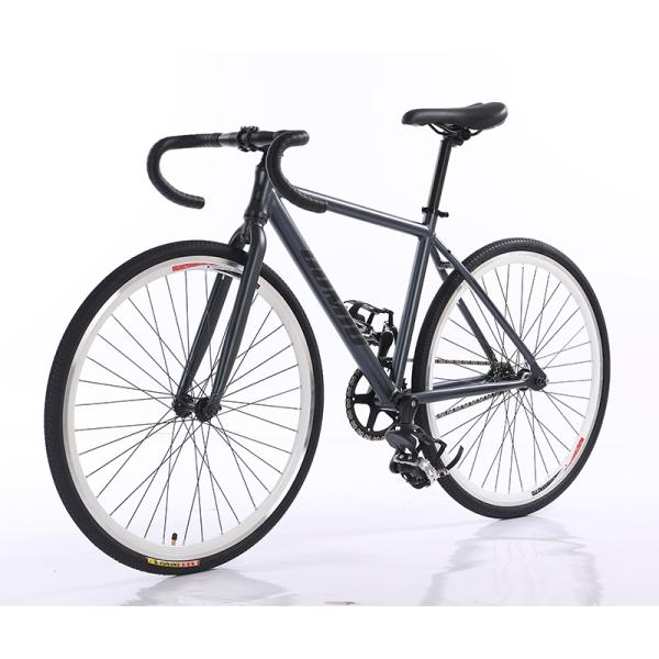 GOMID Flip Flop Hub Gear Cycle Fixed Gear Bike with High Load Capacity of 120kg and Aluminium Alloy Fork