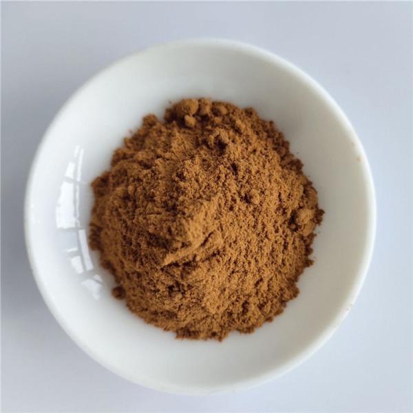 gmp health care product extract butcher's broom root