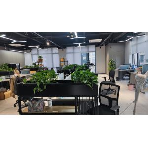 Hefei Purple Horn E-Commerce Co., Ltd.