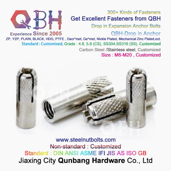 QBH GB /T 22795 (NP) - 2008 M6-M20 SS304 SS316 Stainless Steel Drop In Expansion Anchor